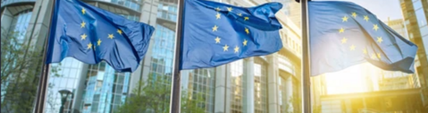 Schermafbeelding 2025-03-07 141413