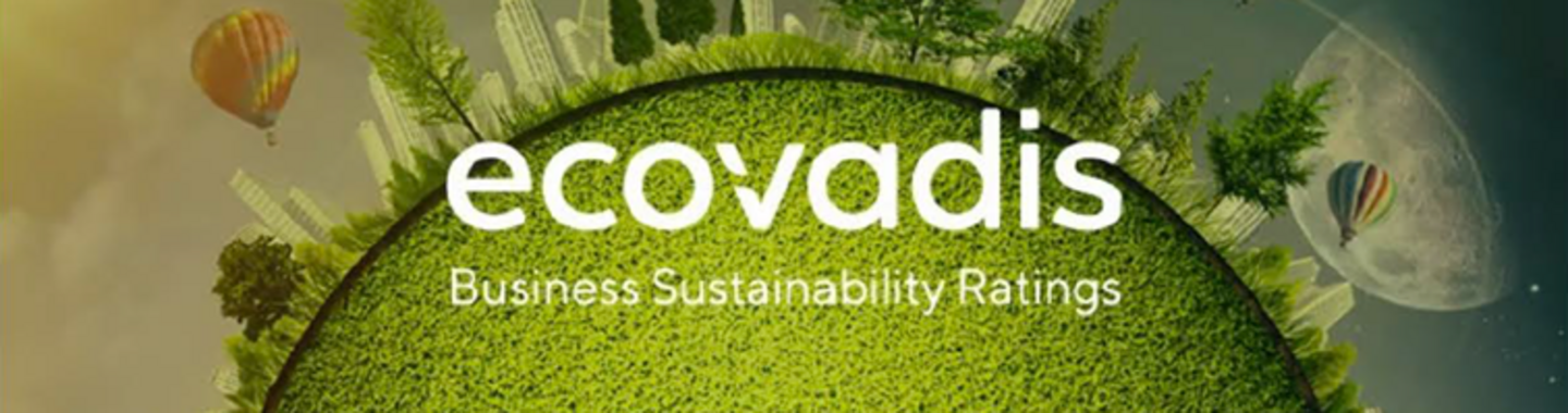 EcoVadis (1)