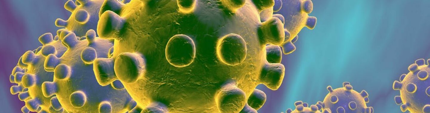 cid7818_virus