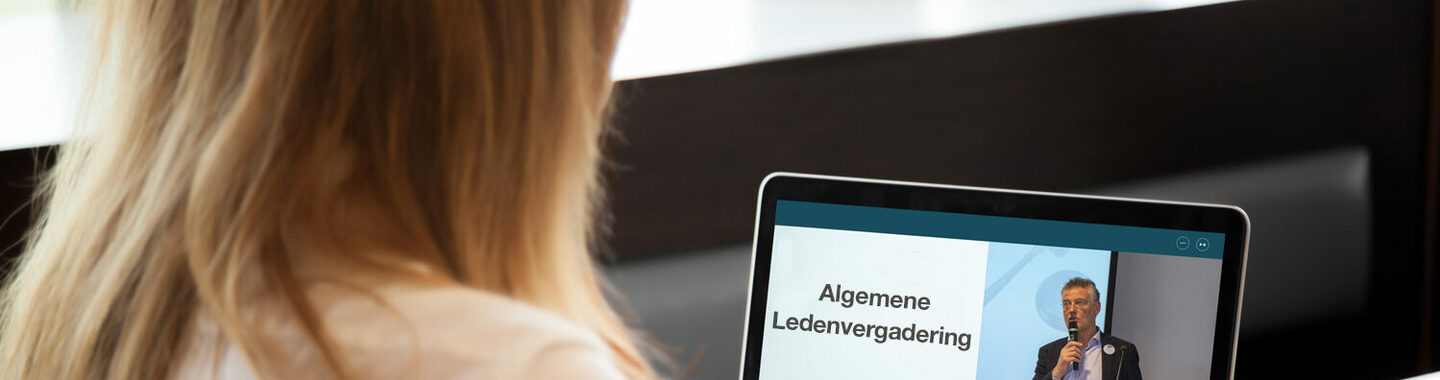 PPP Visual online ALV (003)